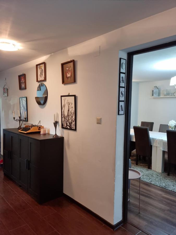Casa Teodor Rucar Casa De Oaspeti מראה חיצוני תמונה